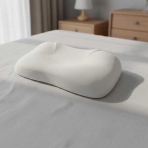 Best Memory Foam Pillow