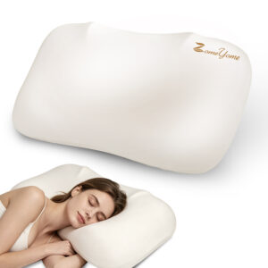slow rebound memory foam pillow (2) 2PCS Slow Rebound Memory foam Pillow